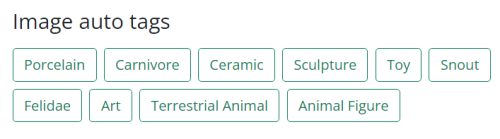 Screenshot of the image auto tags feature. Shows a heading, "Image auto tags" and the following tags: Porcelain, Carnivore, Ceramic, Sculpture, Toy, Snout, Felidae, Art, Terrestrial Animal, Animal Figure.