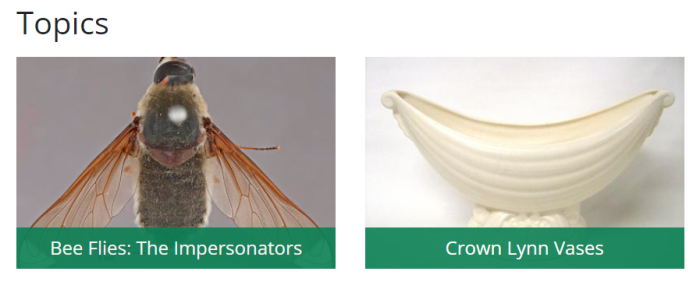 Screenshot of the topics component. Shows a heading, "Topics" and two tiles. Each tile contains an image and a text link for the topics Bee Flies: The Impersonators, and Crown Lynn Vases.